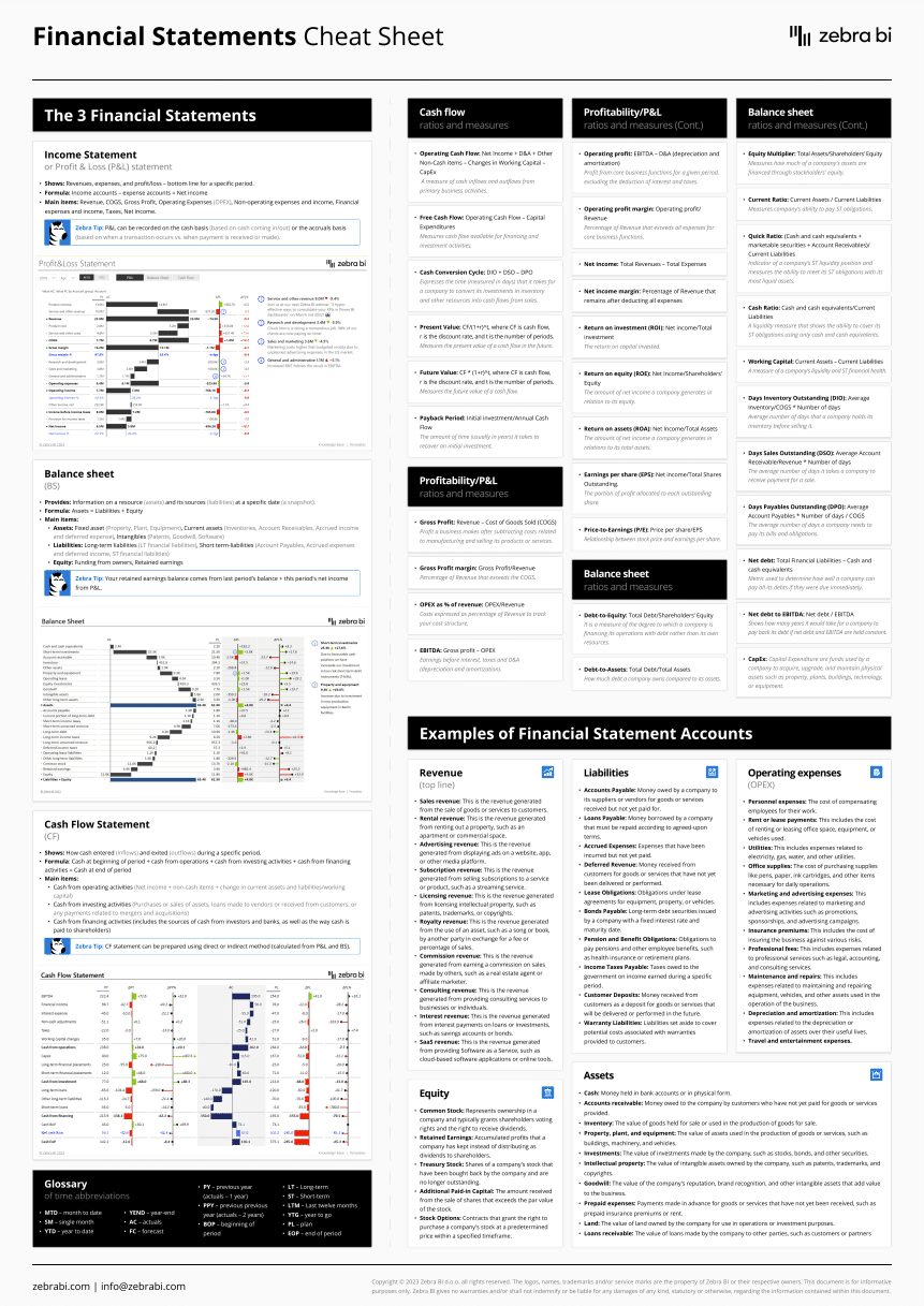 Financial statements cheat sheet preview by Zebra BI