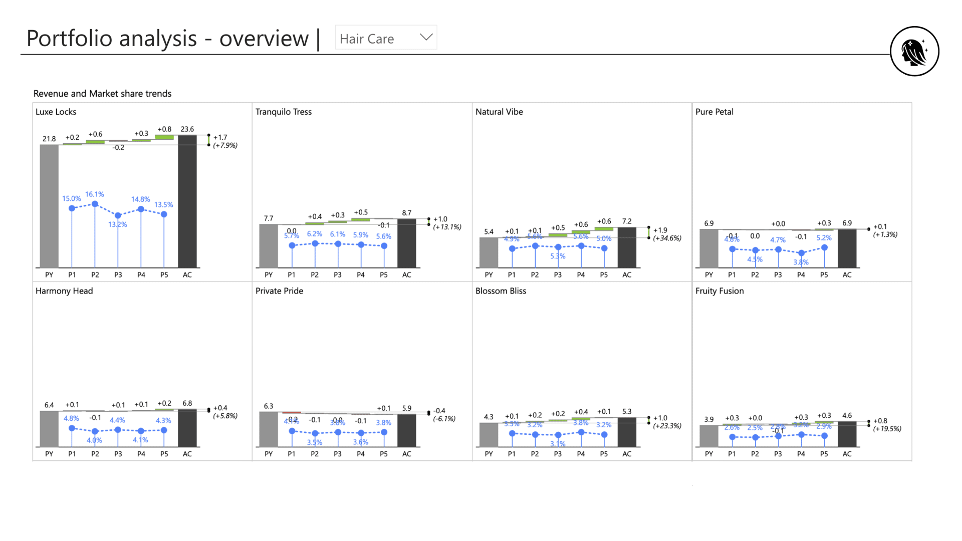FMCG industry brand and product portfolio analysis Power BI template (analysis overview example)